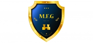 m.f.g group s.a.r.l